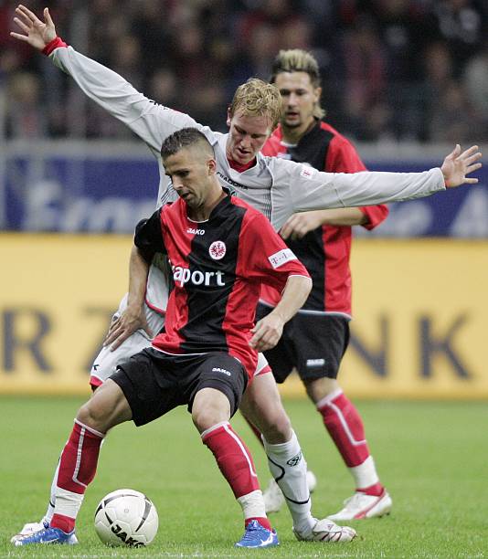 在高水平的 在高水平的